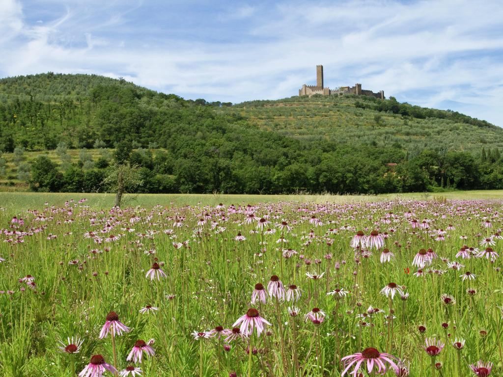 Belvilla By Oyo Montecchio Castiglion Fiorentino Buitenkant foto